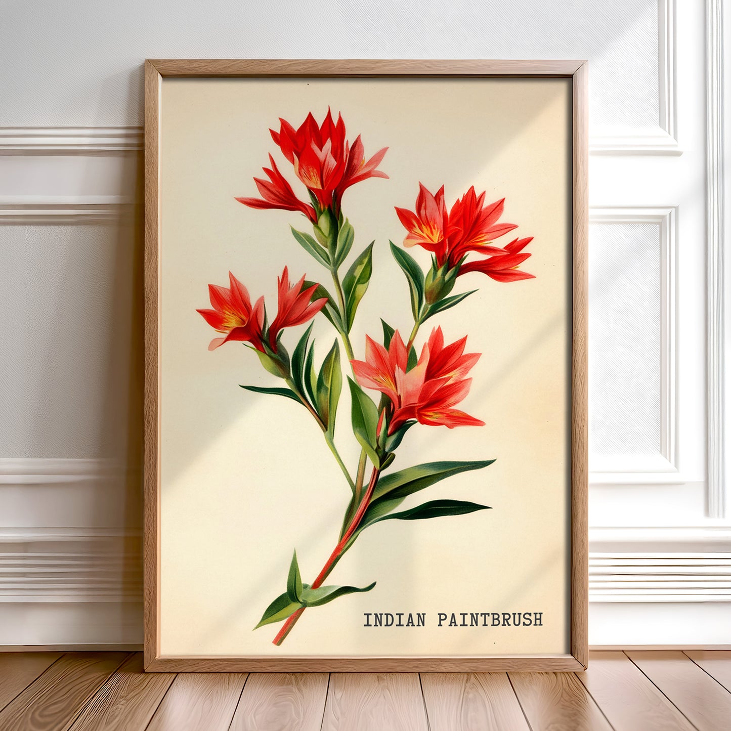 Indian Paintbrush Texas Wildflower French Market Seed Packet Art Print