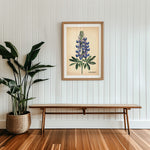 Texas Bluebonnet French Flower Market Seed Pack Art Print - Tejas Country Club