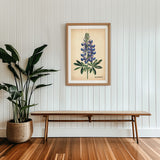 Texas Bluebonnet French Flower Market Seed Pack Art Print - Tejas Country Club