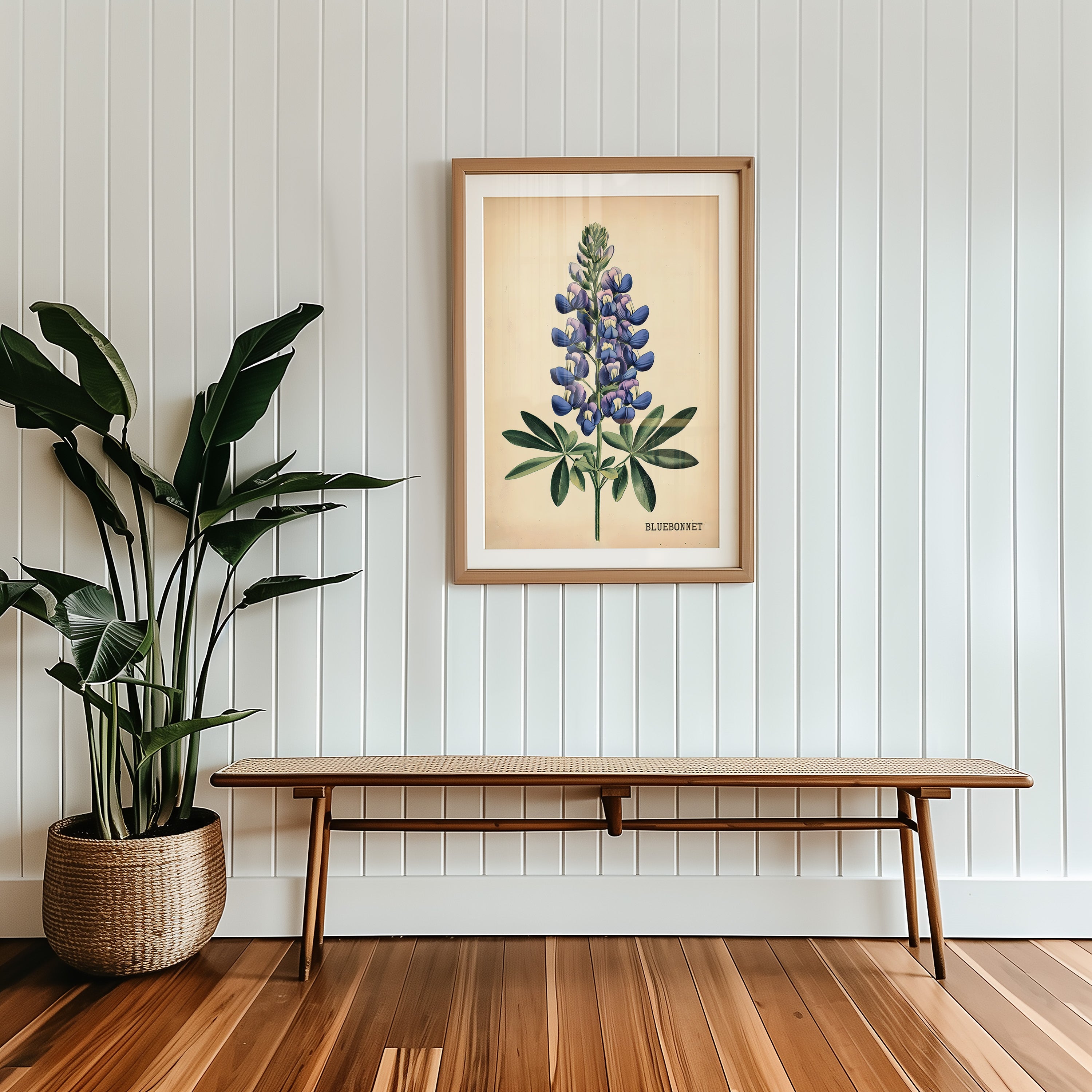 Texas Bluebonnet French Flower Market Seed Pack Art Print - Tejas Country Club