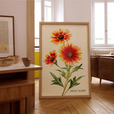 Indian Blanket Wildflower French Market Seed Packet Art Print - Tejas Country Club