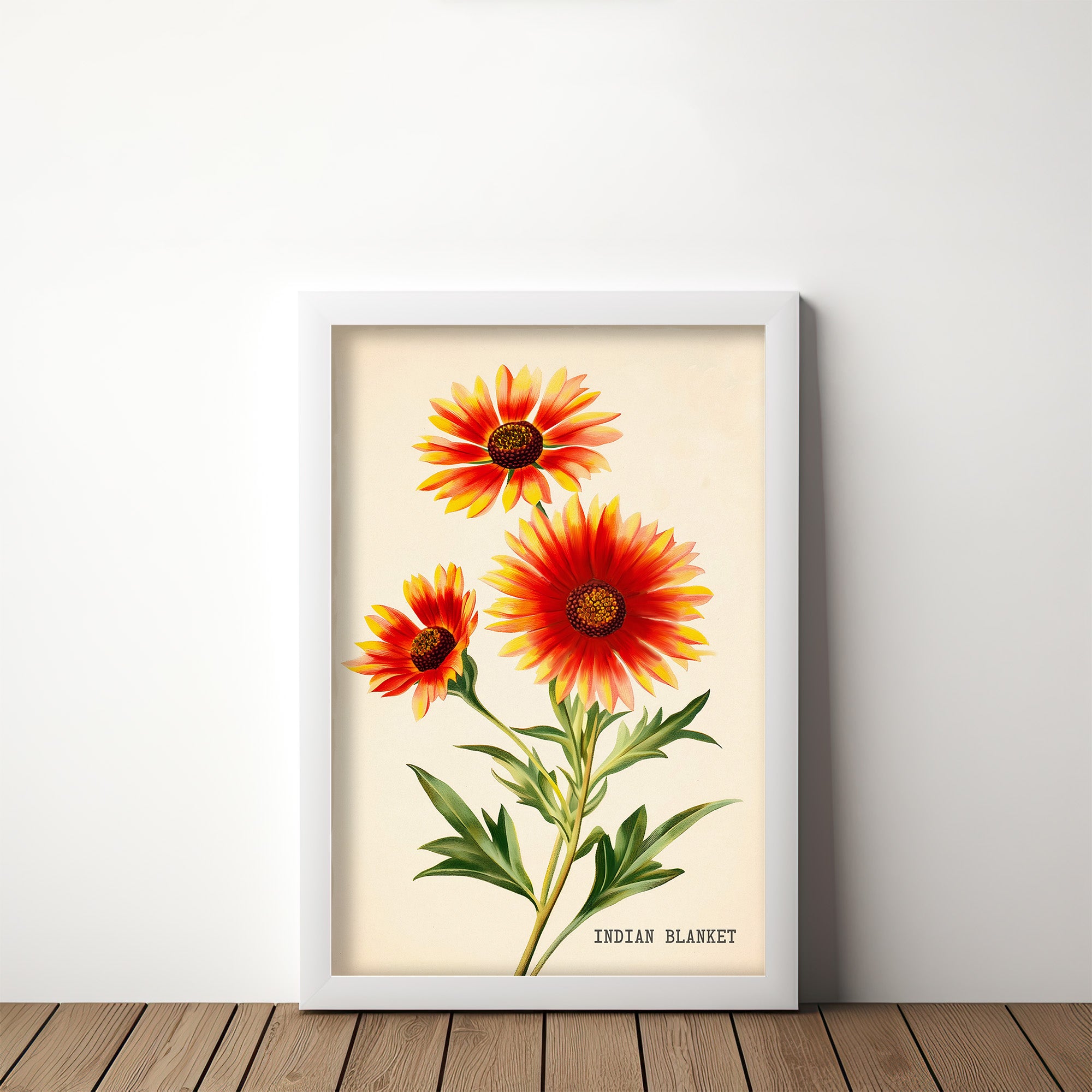 Indian Blanket Wildflower French Market Seed Packet Art Print - Tejas Country Club