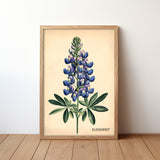 Texas Bluebonnet French Flower Market Seed Pack Art Print - Tejas Country Club
