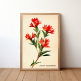 Indian Paintbrush Texas Wildflower French Market Seed Packet Art Print - Tejas Country Club
