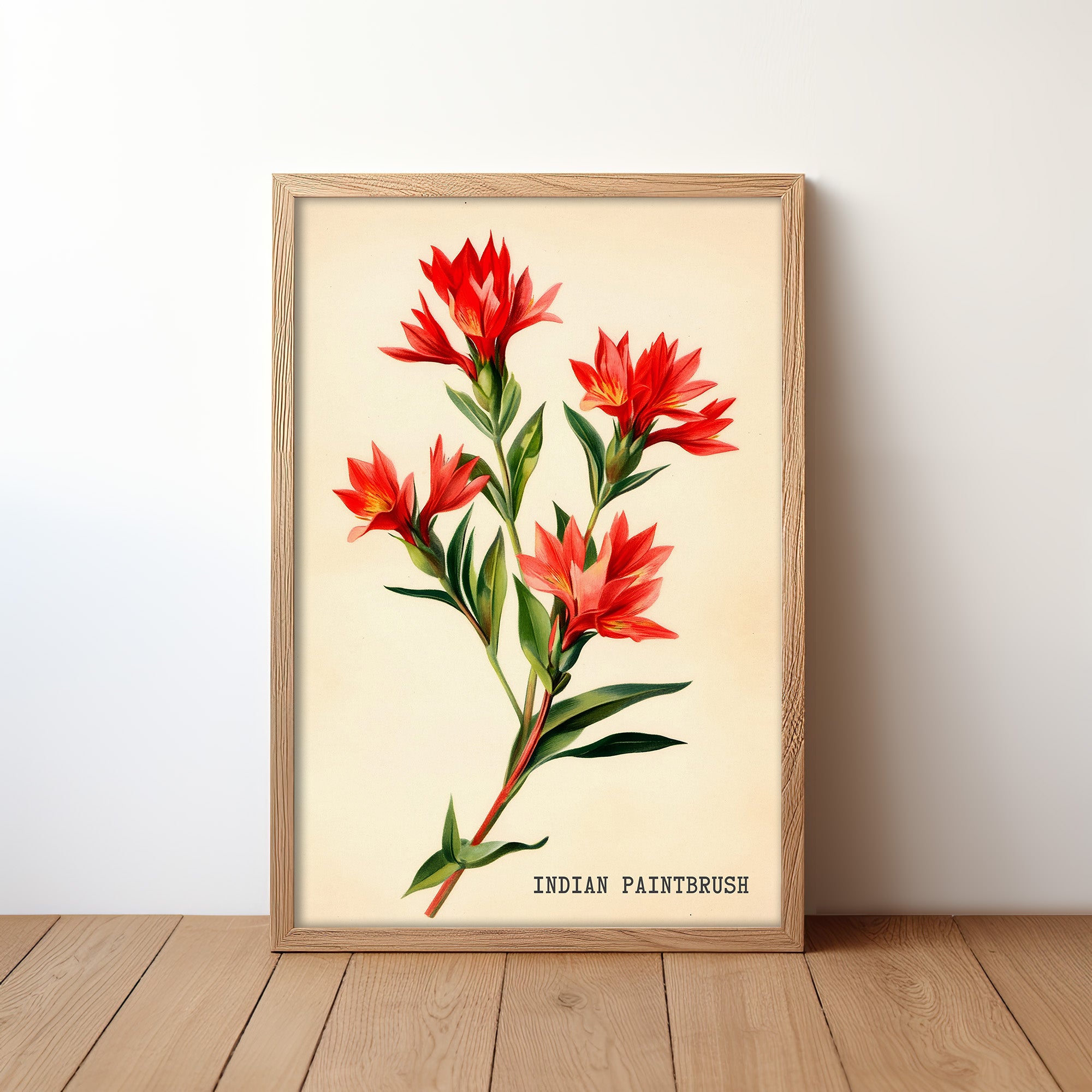 Indian Paintbrush Texas Wildflower French Market Seed Packet Art Print - Tejas Country Club