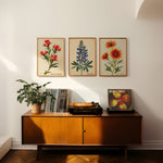 Indian Blanket Wildflower French Market Seed Packet Art Print - Tejas Country Club