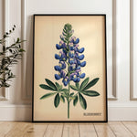 Texas Bluebonnet French Flower Market Seed Pack Art Print - Tejas Country Club