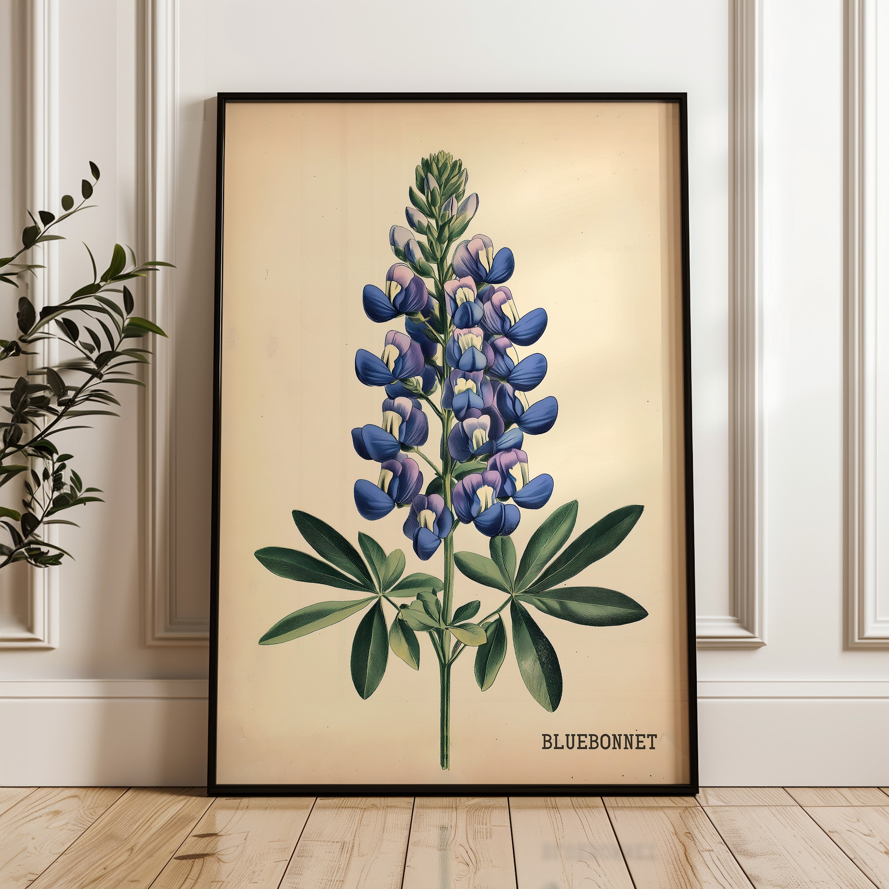 Texas Bluebonnet French Flower Market Seed Pack Art Print - Tejas Country Club