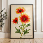 Indian Blanket Wildflower French Market Seed Packet Art Print - Tejas Country Club