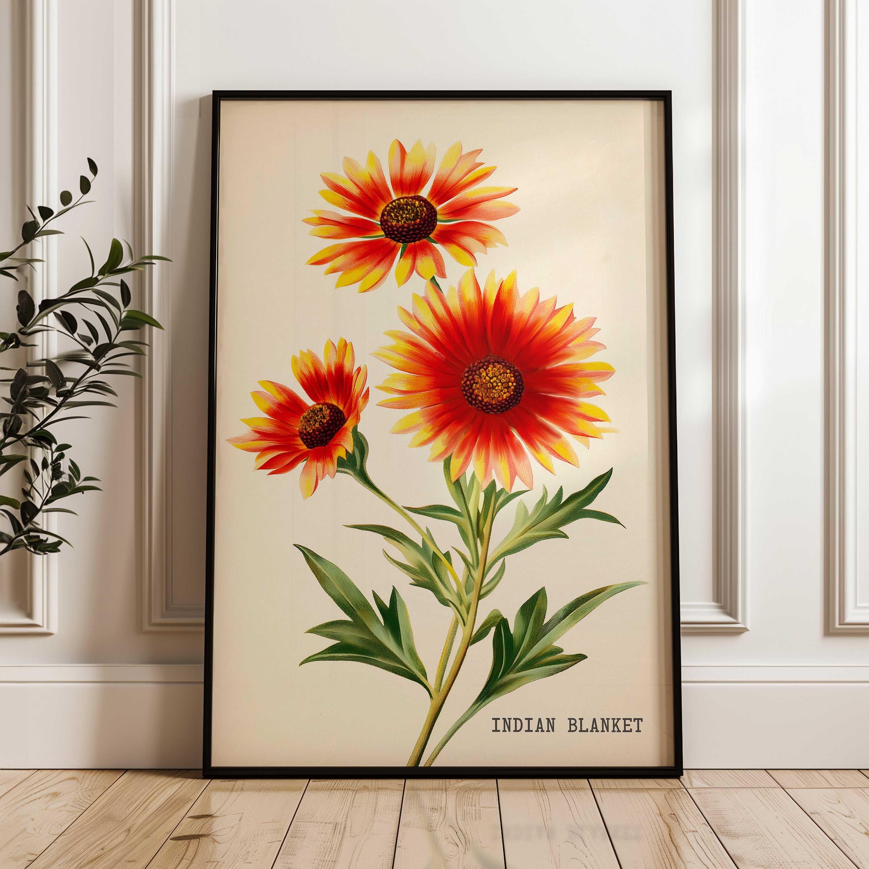 Indian Blanket Wildflower French Market Seed Packet Art Print - Tejas Country Club