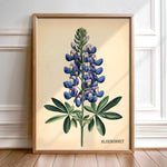 Texas Bluebonnet French Flower Market Seed Pack Art Print - Tejas Country Club