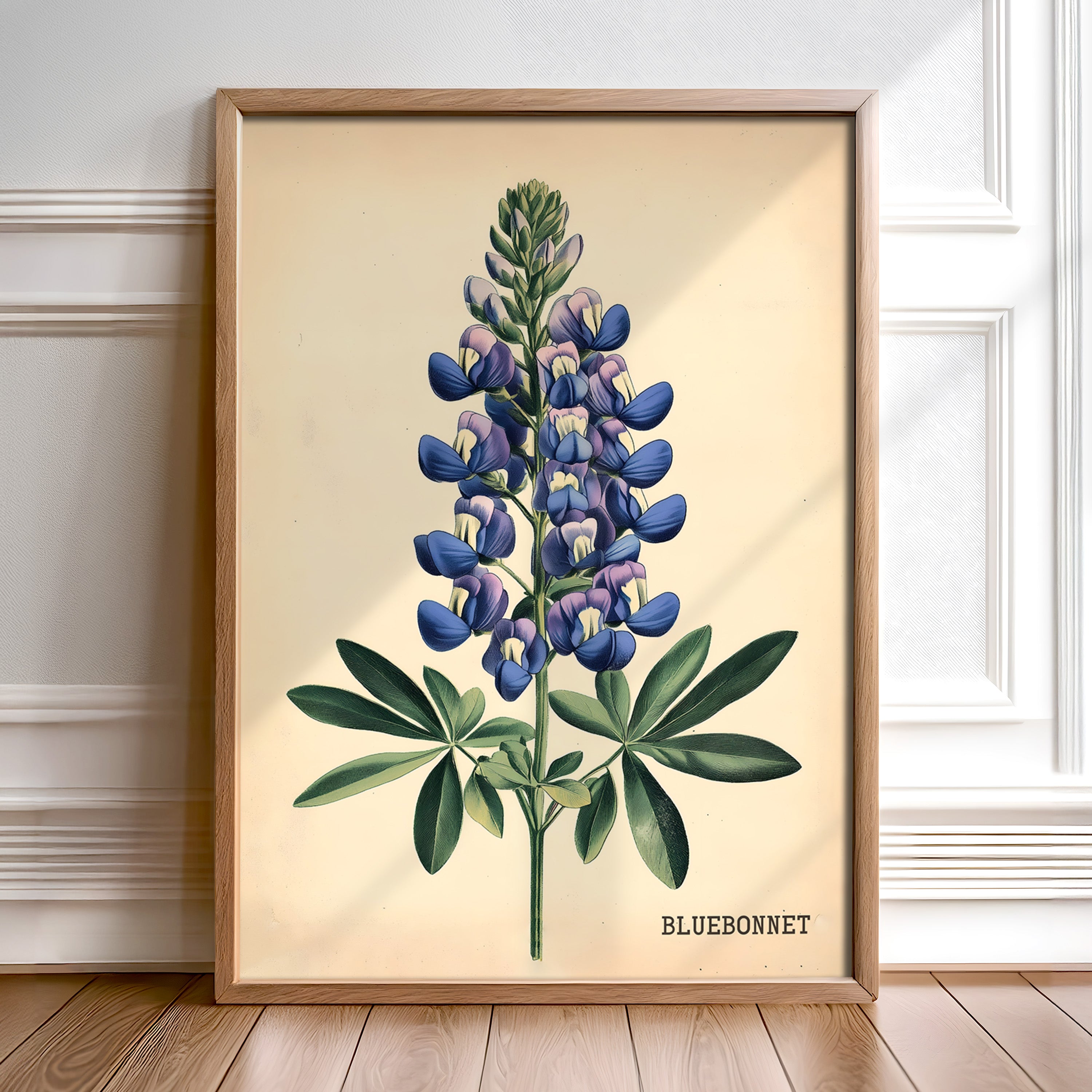 Texas Bluebonnet French Flower Market Seed Pack Art Print - Tejas Country Club