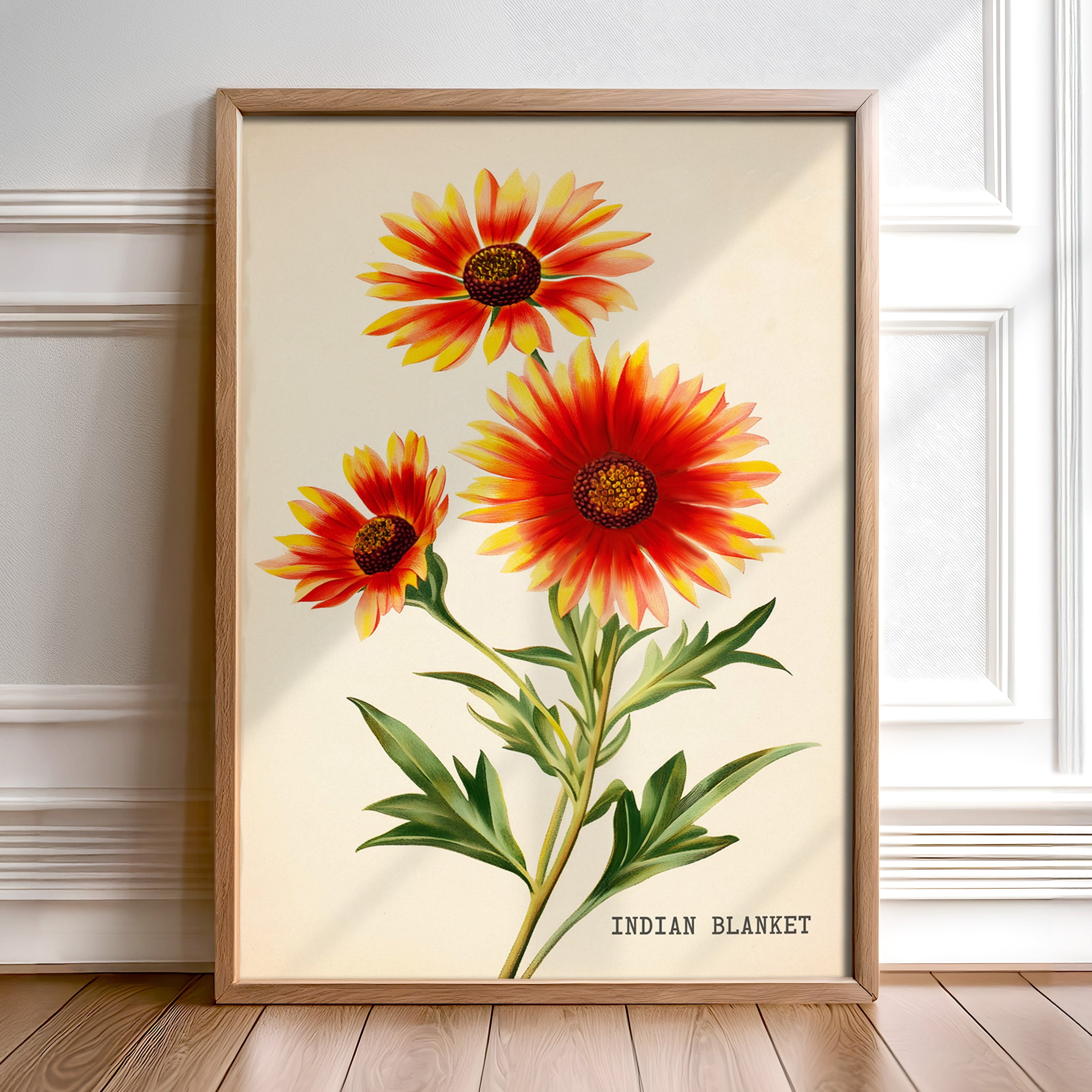 Indian Blanket Wildflower French Market Seed Packet Art Print - Tejas Country Club